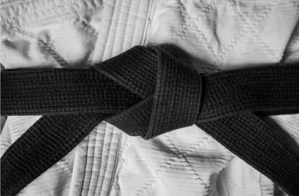 Imagem Post Os 7 pecados mortais em um projeto GreenBlack belt